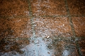 Day 18 - Brisbane - Rain